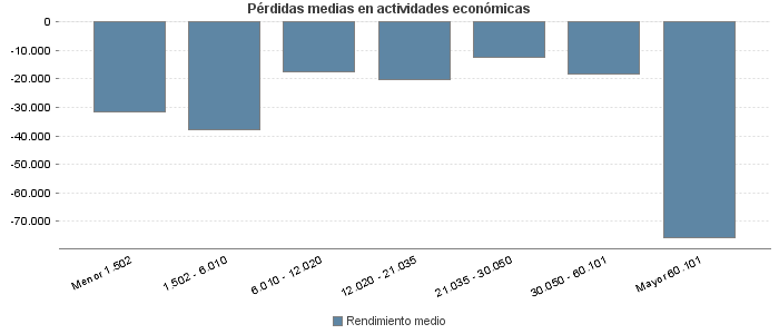 Pérdidas medias en actividades económicas