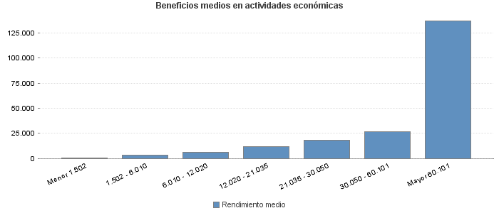 Beneficios medios en actividades económicas