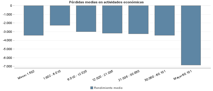 Pérdidas medias en actividades económicas