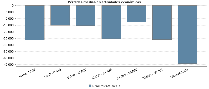 Pérdidas medias en actividades económicas